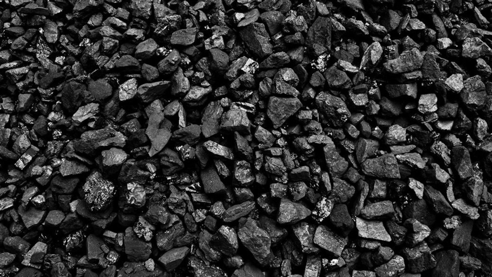 Petroleum-Coke